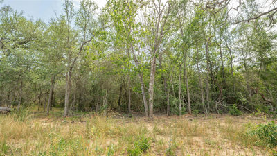 926 Ferguson Loop — photo 2