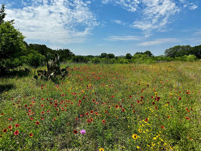 Lot 4 Colorado Canyon Dr — photo 5