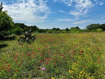 Lot 5 Colorado Canyon Dr — photo 5
