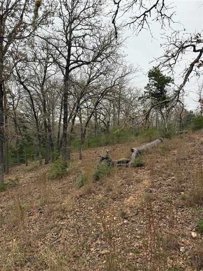 000 Wailupe Cir — photo 4