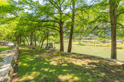8560 RIVER RD Rd — photo 4