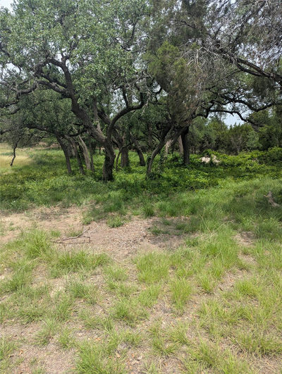 Lot 2 Hamilton Pool Rd — photo 5