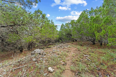 4602 Thunderbird Dr — photo 2