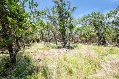 41 Persimmon Dr — photo 5