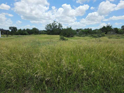 241 Spicewood Trails Dr — photo 5