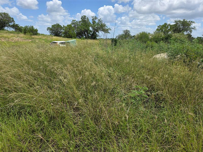 LOT 206 Enchanted Oak Pt — photo 5