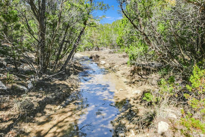 11201 Bonham Ranch Rd #6 — photo 4