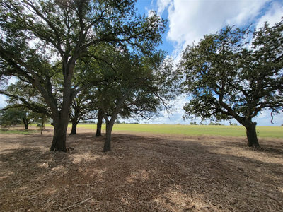 Tract 2 FM 713 Hwy — photo 5