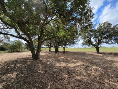 Tract 2 FM 713 Hwy — photo 3
