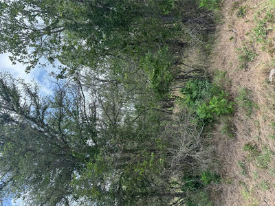 Lot 686 Kawainui Ln — photo 3