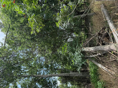 Lot 904 Kahana Ln — photo 4