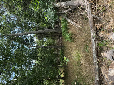 Lot 904 Kahana Ln — photo 3
