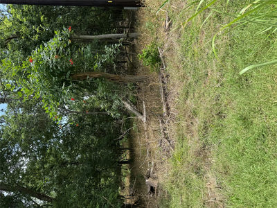 Lot 904 Kahana Ln — photo 2