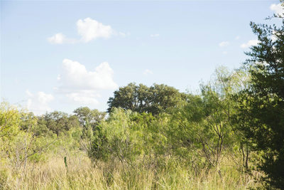 LOT 2 Cr 330 — photo 5