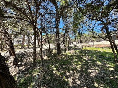 TBD Mimosa St — photo 4