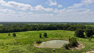 9590 Maynard Hallmark Rd — photo 3