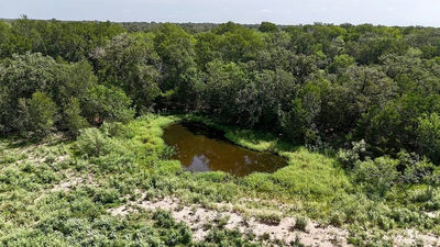 9590 Maynard Hallmark Rd — photo 5
