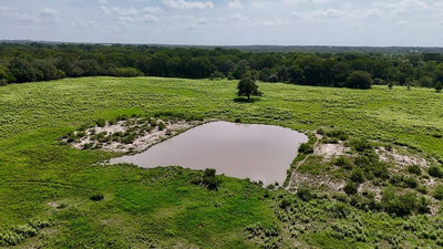 9590 Maynard Hallmark Rd — photo 4