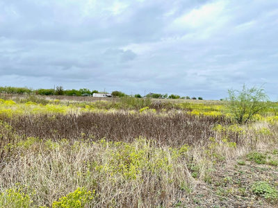 11604 Moore Rd — photo 2