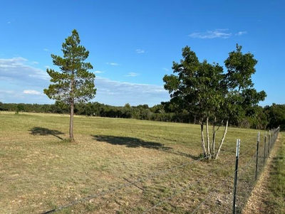 680 County Road 285 — photo 2