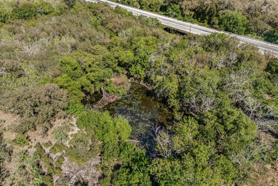 10933 Hwy 21 — photo 4