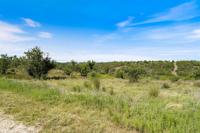 TBD Lookout Mountain Rd — photo 3