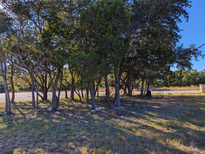 541 Onion Creek Ln — photo 3