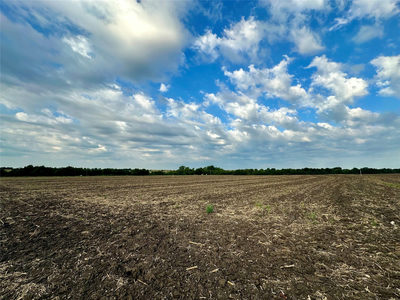Lot 7 CR 320 — photo 5