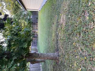 115 Guadalupe St — photo 2