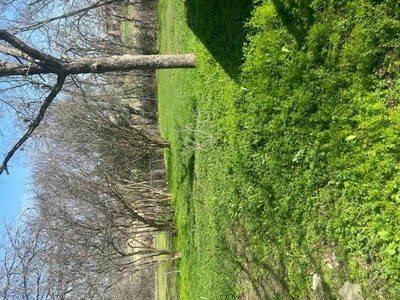 1008 Washburn St — photo 3