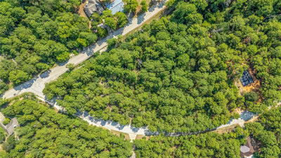 TBD Wainee Dr — photo 2