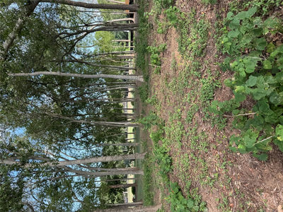 736 E Riverside Dr — photo 3