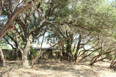 11502 Bee St — photo 5
