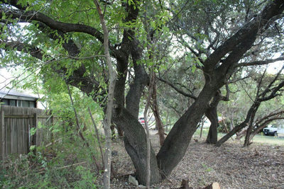 11502 Bee St — photo 2