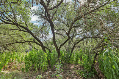 12610 River Bnd — photo 2