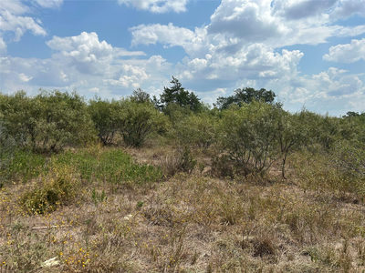 303 Walter Hoffman Rd — photo 3