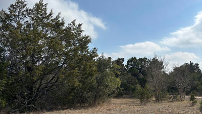 829A Castle Ridge Rd — photo 4