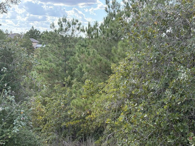 TBD Lot 35 Pinecrest Dr — photo 2