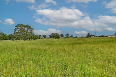 106 Sunny Day Dr — photo 4