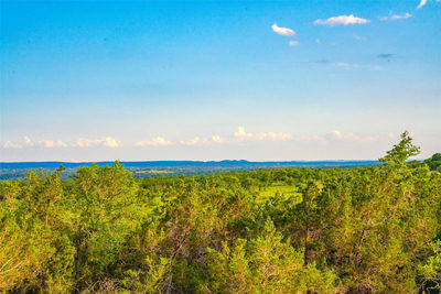 000 Freestone Views — photo 4