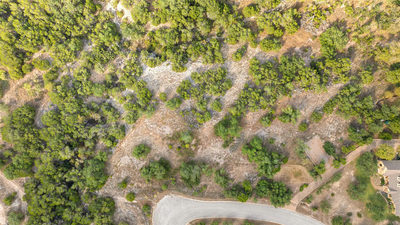 19718 Fig Bluff Ln — photo 4