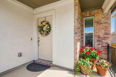 8212 Purple Aster Pass — photo 4