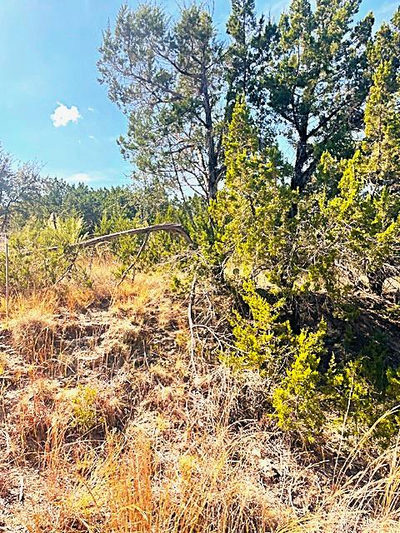 20001 Calhoun Ave — photo 2