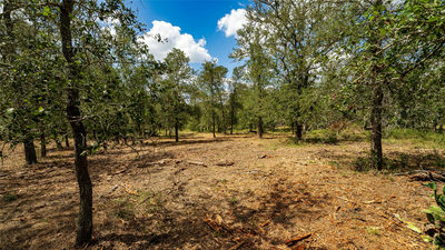 3980 (Tract 5) Fm 3158 — photo 3