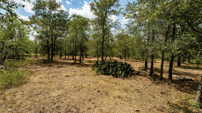 3980 (Tract 5) Fm 3158 — photo 4