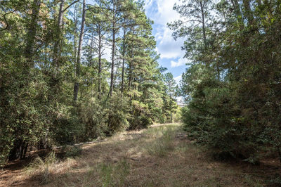 LOT 1447 Koae Ct — photo 5