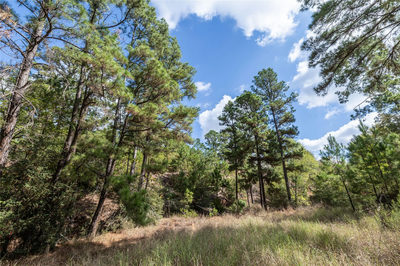 LOT 1447 Koae Ct — photo 4