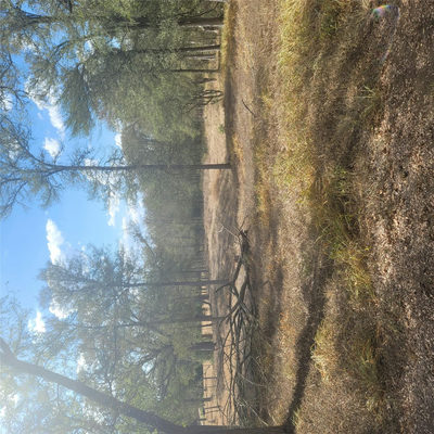 2492 Fm 1704 — photo 2