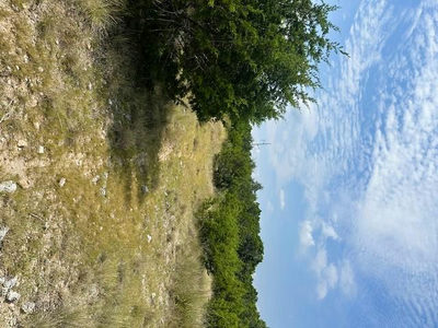 TBD Lot 1 Soaring Eagle Dr — photo 3