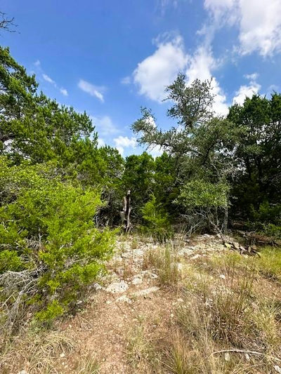 TBD LOT 4 Royal Eagle Dr — photo 5